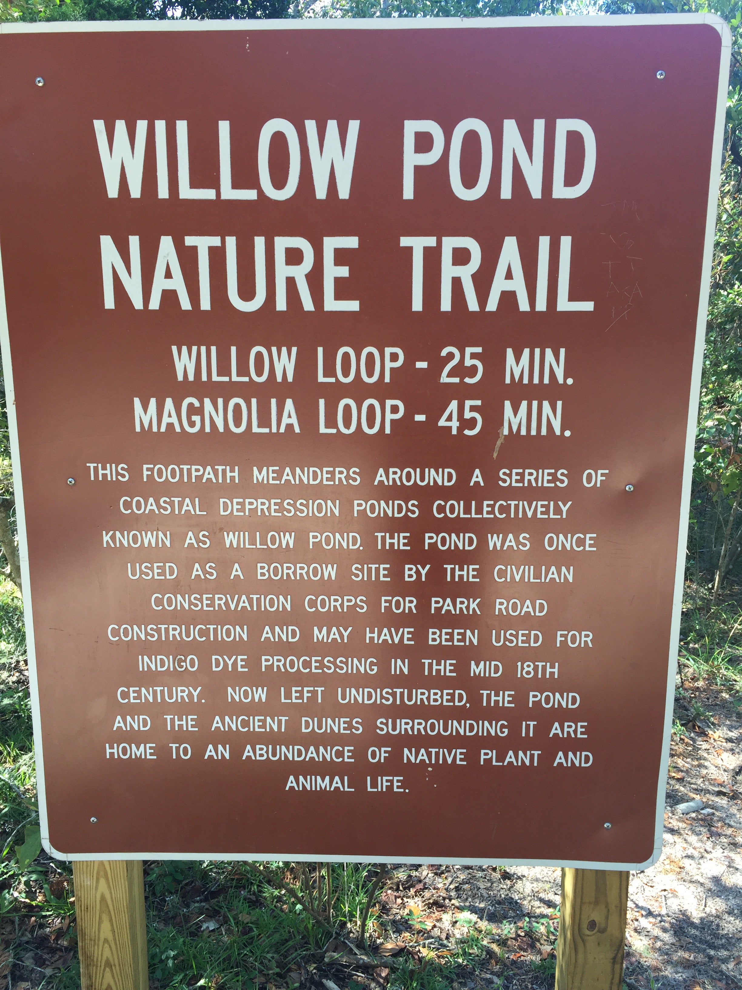 Willow Pond Nature Trail, Fort Clinch State Park