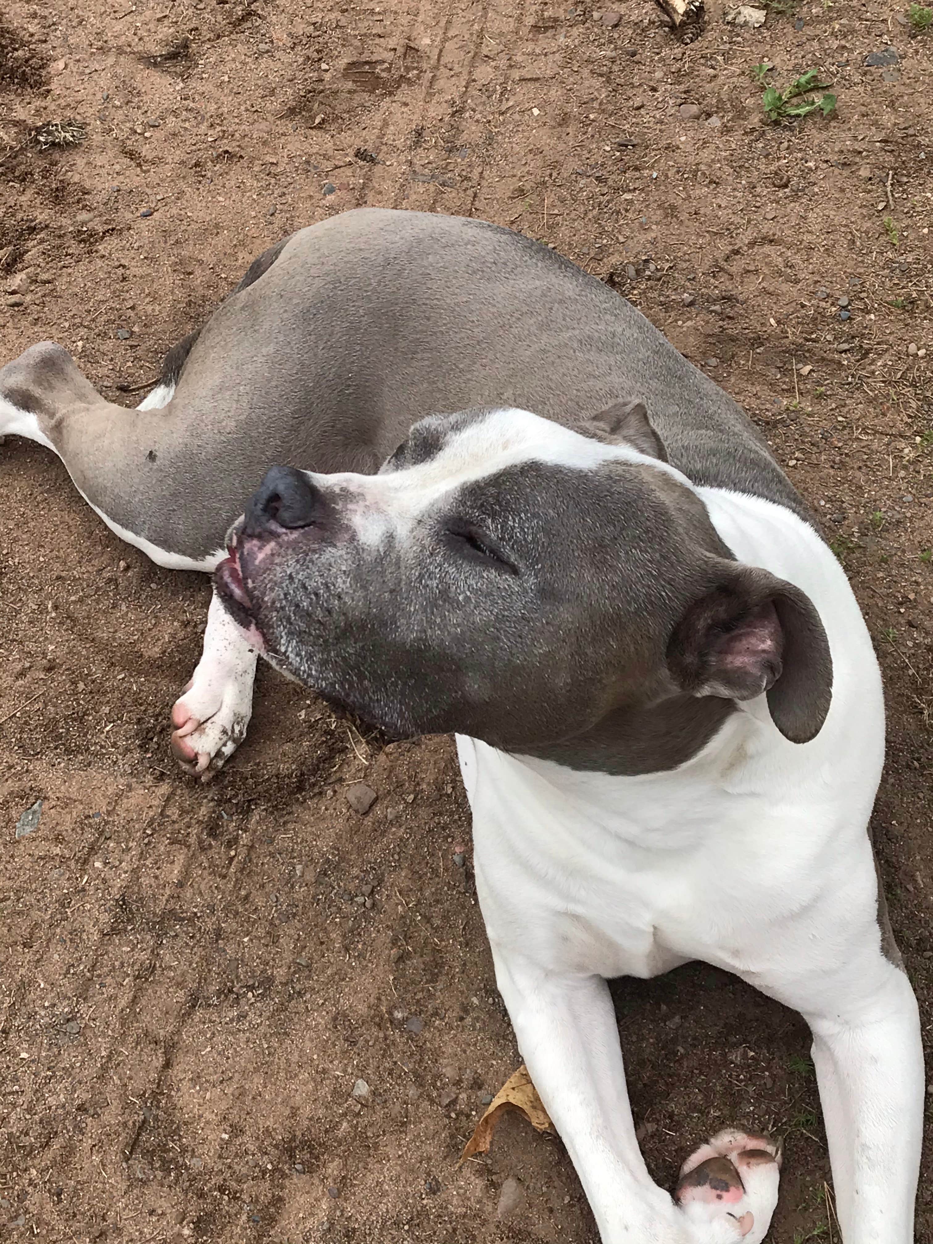 Camper-submitted photo at Boulder Junction near Minocqua, WI