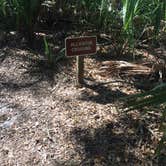 Review photo of Atlantic Beach Campground — Fort Clinch State Park by Elizabeth G., October 19, 2017