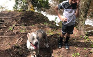 Liz D.'s photo of camping with pets at Boulder Junction near Rhinelander, WI