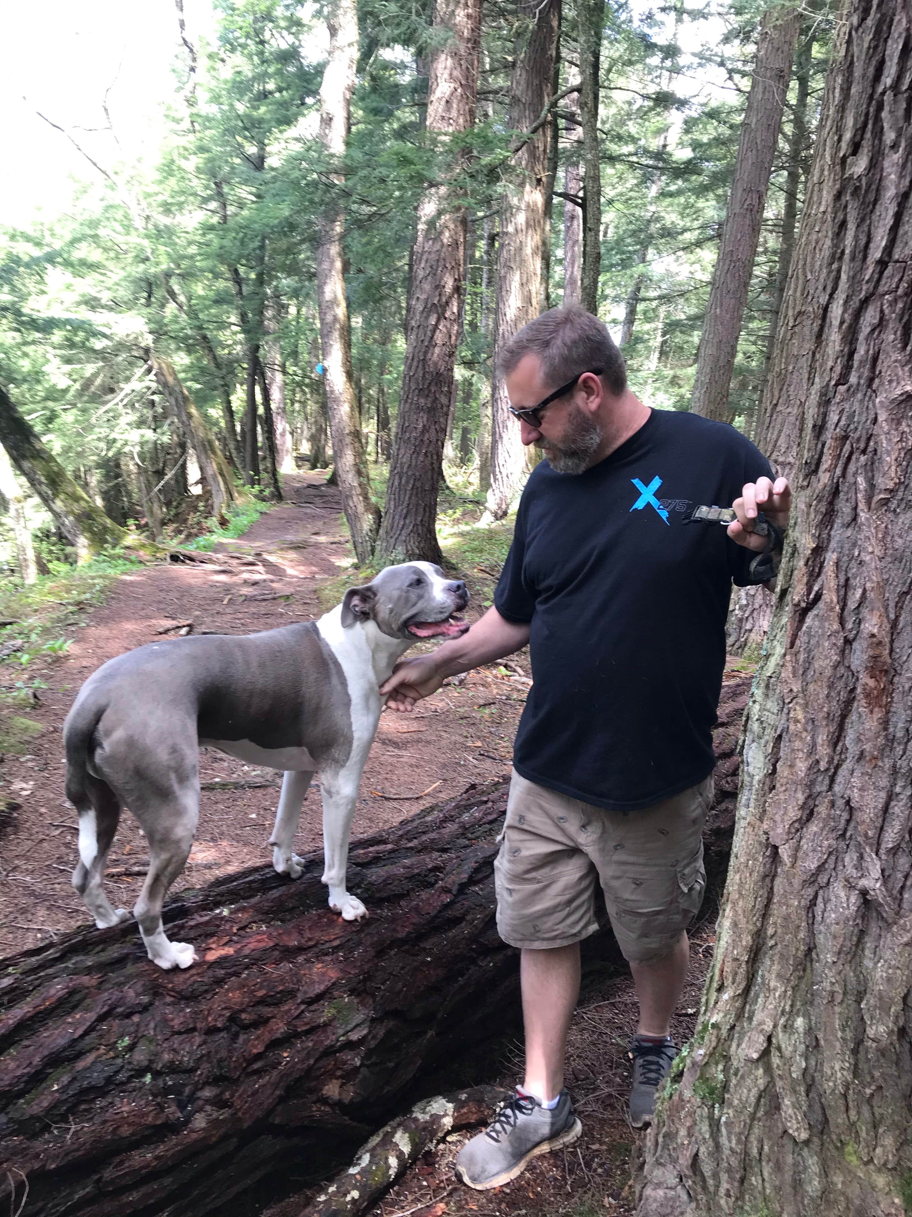 Liz D.'s photo of camping with pets at Boulder Junction near Three Lakes, WI