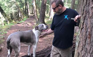 Liz D.'s photo of camping with pets at Boulder Junction near Crystal Falls, MI