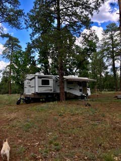 Camper-submitted photo at Dogtown Lake Road Dispersed Camping near Williams, AZ