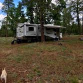 Review photo of Dogtown Lake Road Dispersed Camping by Lyf Uninterrupted .., June 11, 2020