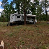 Review photo of Dogtown Lake Road Dispersed Camping by Lyf Uninterrupted .., June 11, 2020