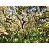 Review photo of Atlantic Beach Campground — Fort Clinch State Park by Elizabeth G., October 19, 2017
