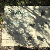 Review photo of Atlantic Beach Campground — Fort Clinch State Park by Elizabeth G., October 19, 2017