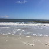 Review photo of Atlantic Beach Campground — Fort Clinch State Park by Elizabeth G., October 19, 2017