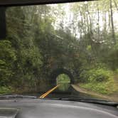 Review photo of Cades Cove Campground by Ashley R., June 11, 2020