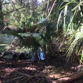 Review photo of Atlantic Beach Campground — Fort Clinch State Park by Elizabeth G., October 19, 2017