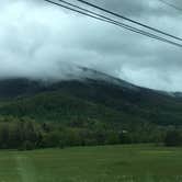 Review photo of Cades Cove Campground by Ashley R., June 11, 2020