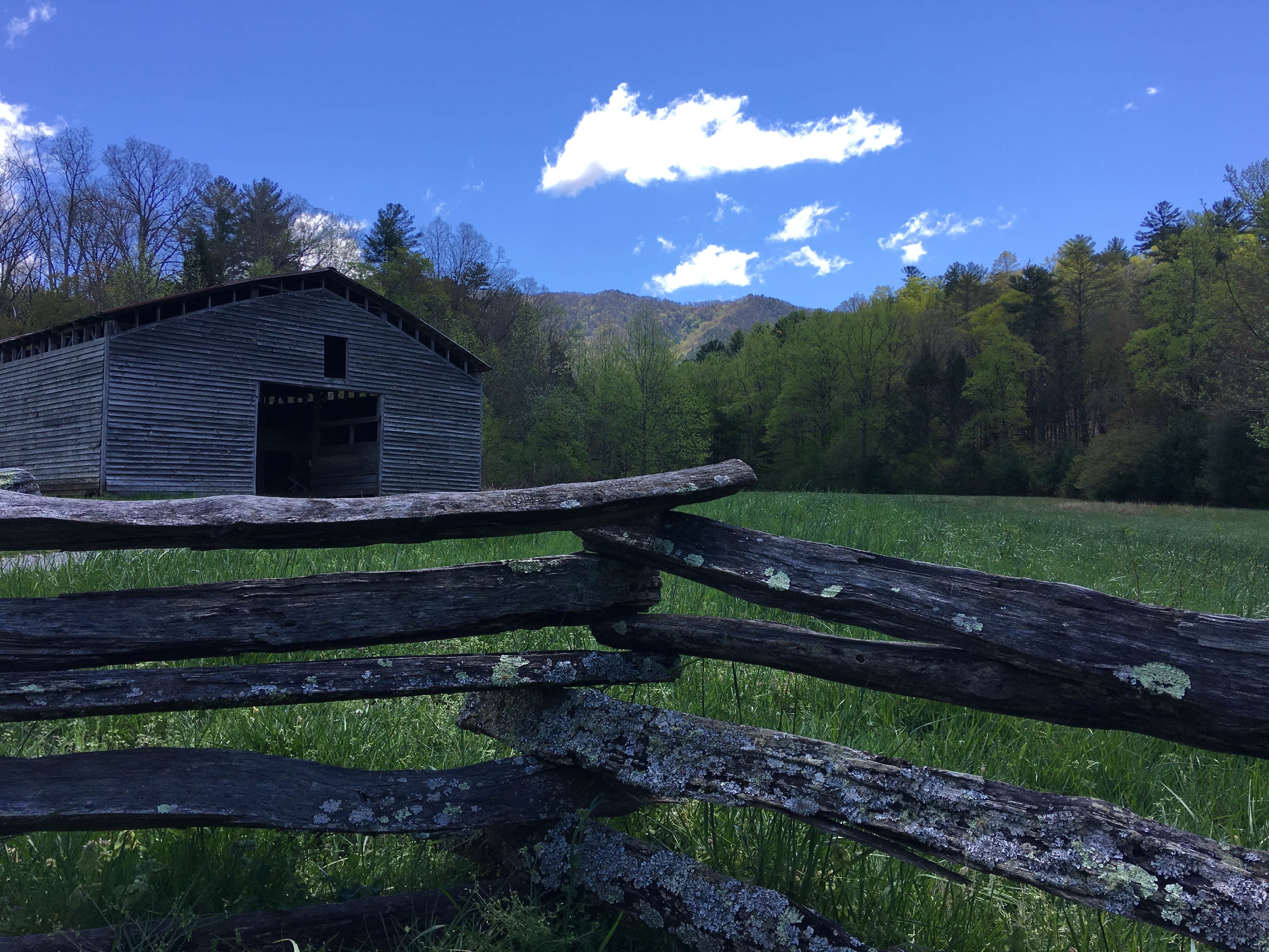 Ashley R.'s photo of glamping accommodations at Cades Cove Campground near Whittier, NC
