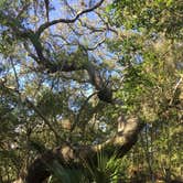 Review photo of Atlantic Beach Campground — Fort Clinch State Park by Elizabeth G., October 19, 2017