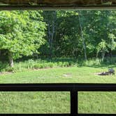 Review photo of Sequoyah Bay Marina and Cabins — Sequoyah Bay State Park by Brian B., June 12, 2020