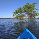 Review photo of Sequoyah Bay Marina and Cabins — Sequoyah Bay State Park by Brian B., June 12, 2020