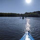 Review photo of Sequoyah Bay Marina and Cabins — Sequoyah Bay State Park by Brian B., June 12, 2020