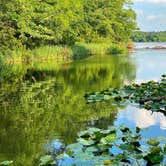 Review photo of Tyler State Park Campground by Mic R., June 12, 2020