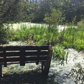 Review photo of Atlantic Beach Campground — Fort Clinch State Park by Elizabeth G., October 19, 2017