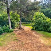 Review photo of Tyler State Park Campground by Mic R., June 12, 2020