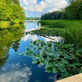 Review photo of Tyler State Park Campground by Mic R., June 12, 2020