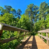 Review photo of Tyler State Park Campground by Mic R., June 12, 2020