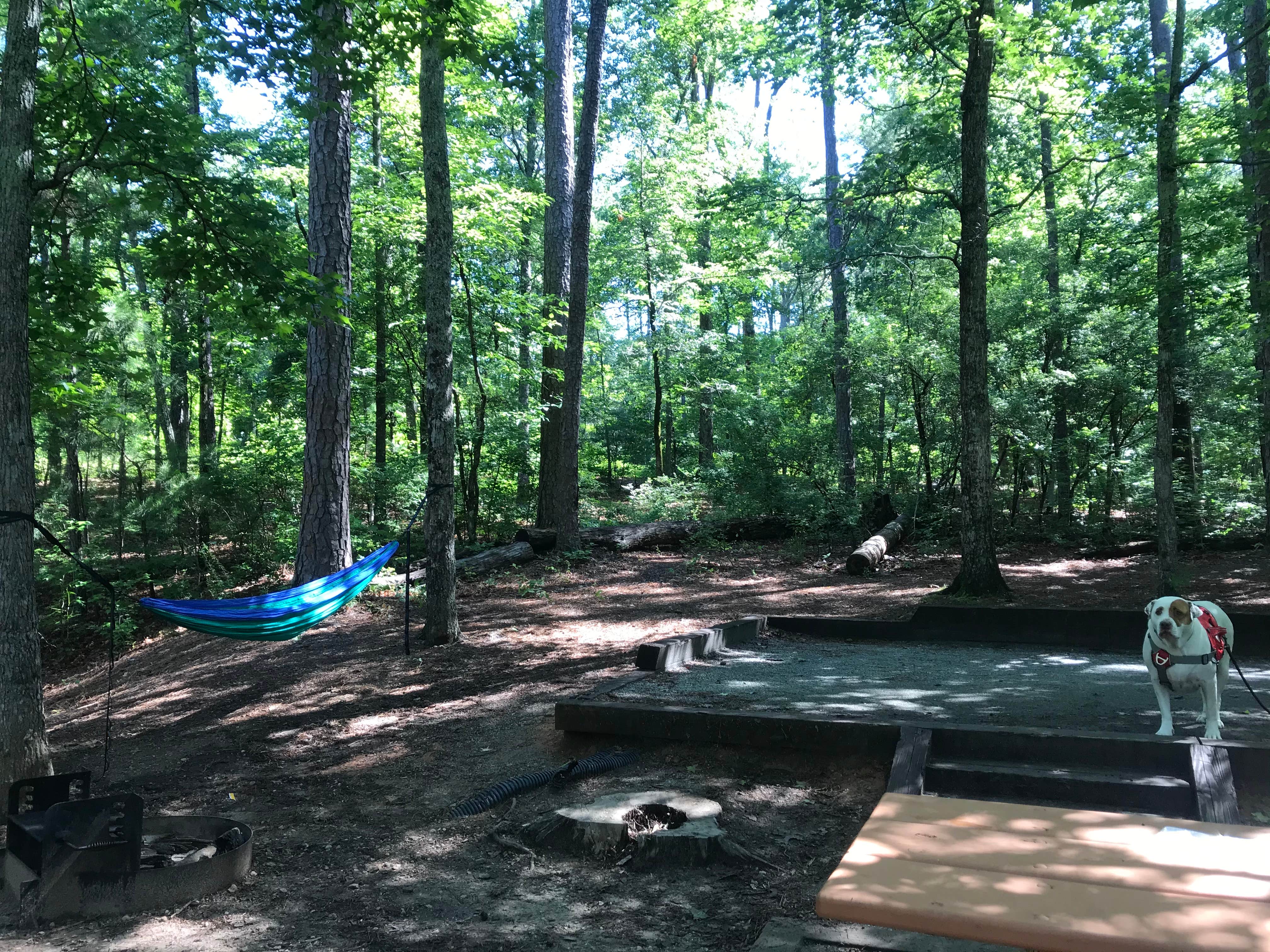 Angie G.'s photo at Franklin D Roosevelt State Park Campground near West Point Lake