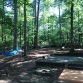 Review photo of Franklin D Roosevelt State Park Campground by Angie G., June 12, 2020