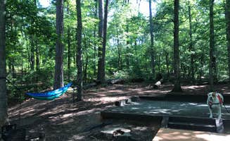 Angie G.'s photo at Franklin D Roosevelt State Park Campground near West Point Lake