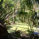 Review photo of Atlantic Beach Campground — Fort Clinch State Park by Elizabeth G., October 19, 2017