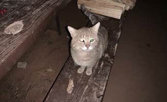 Magarin H.'s photo of camping with pets at Sunglow Campground near Teasdale, UT