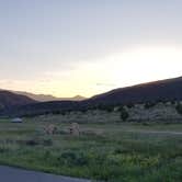 Review photo of Sheep Creek Dispersed Camping Area  by Auds C., June 12, 2020