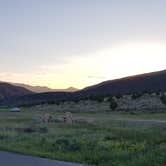 Review photo of Sheep Creek Dispersed Camping Area by Auds C., June 12, 2020