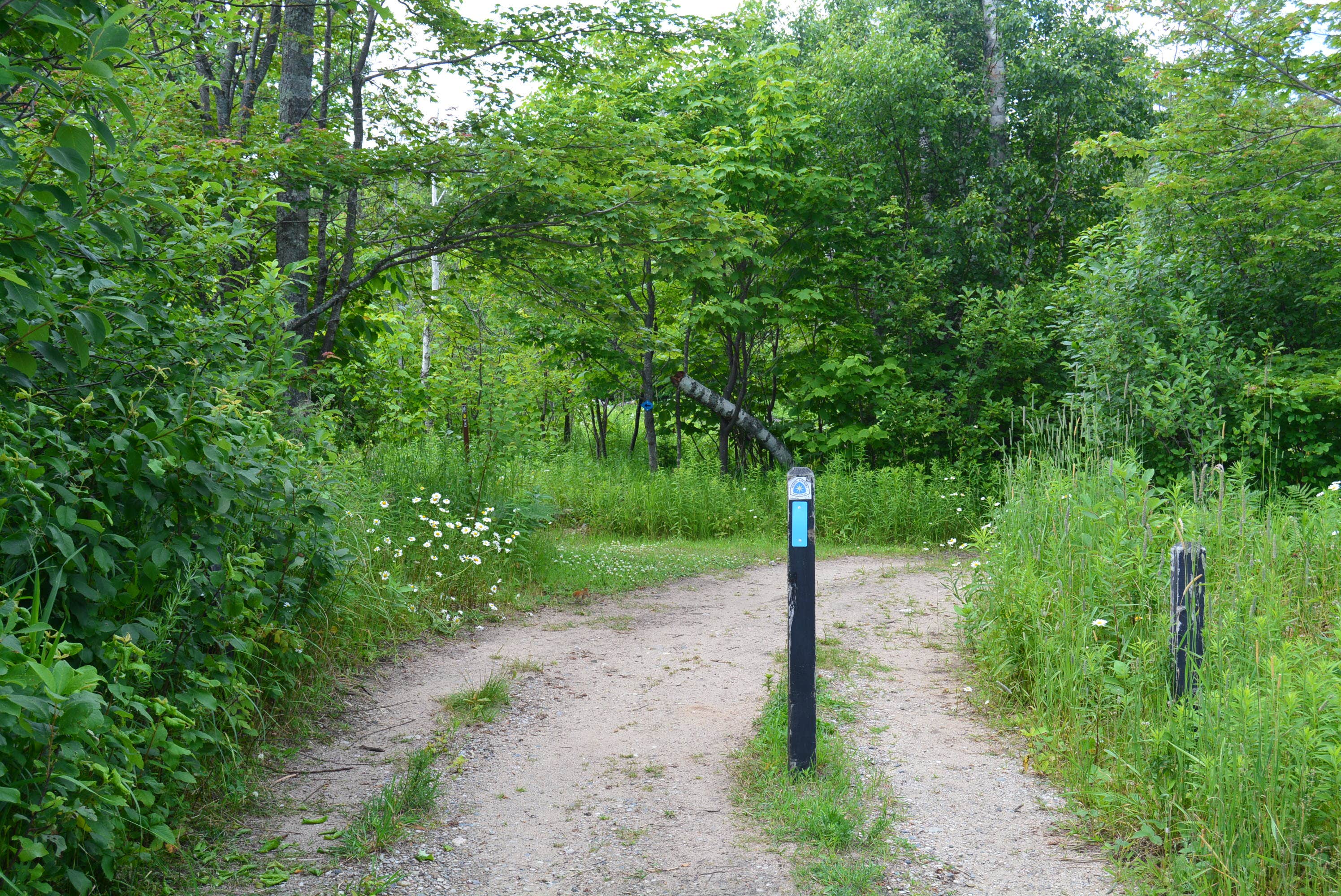 Camper submitted image from Muskallonge Lake State Park Campground - 4