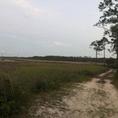 Review photo of Tate's Hell State Forest High Bluff Primitive Campsites, FL by über G., June 12, 2020
