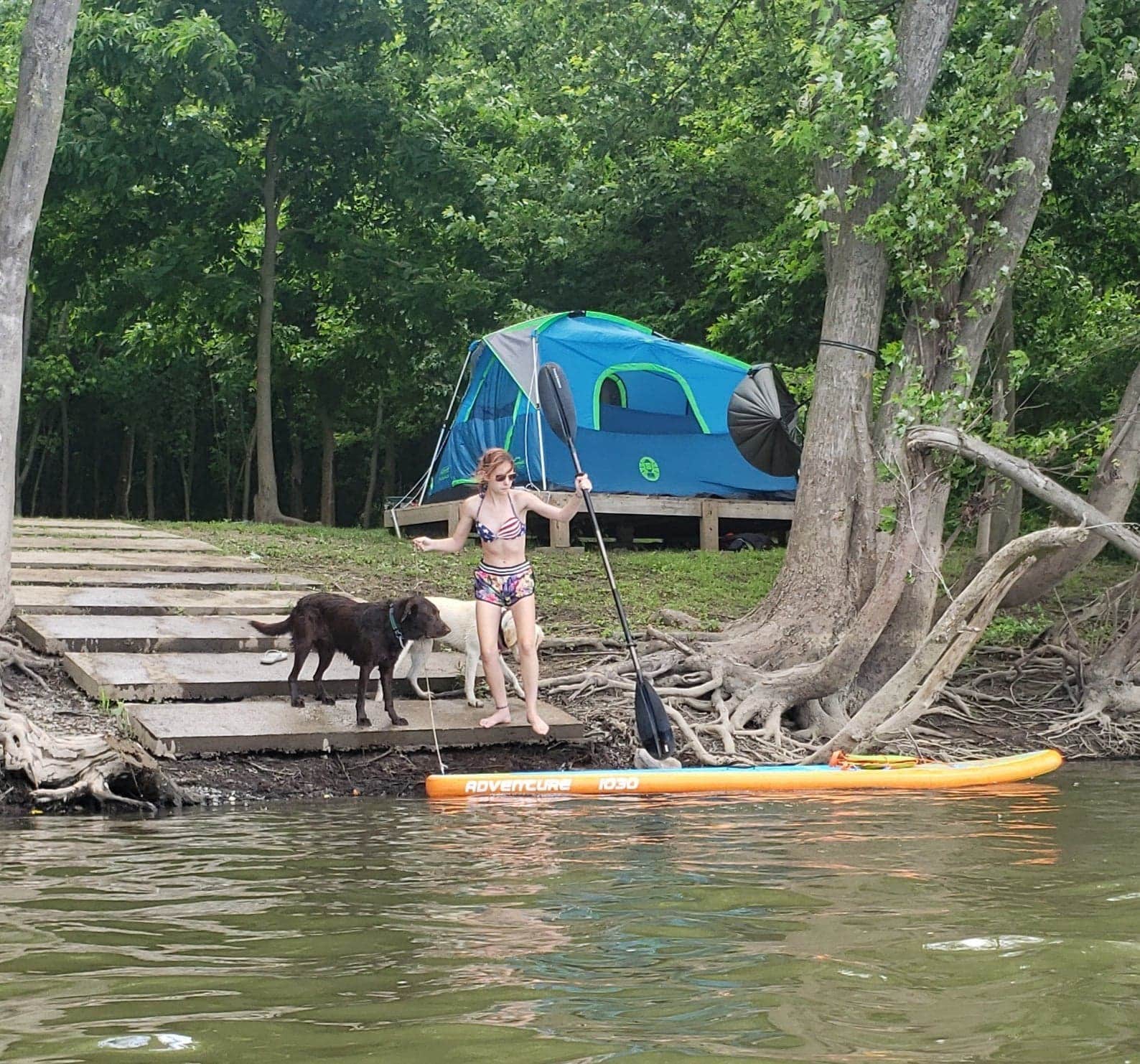 James B.'s photo of camping with pets at River Rock Recreation near Harrisburg, PA