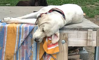James B.'s photo of camping with pets at River Rock Recreation near Bainbridge, PA