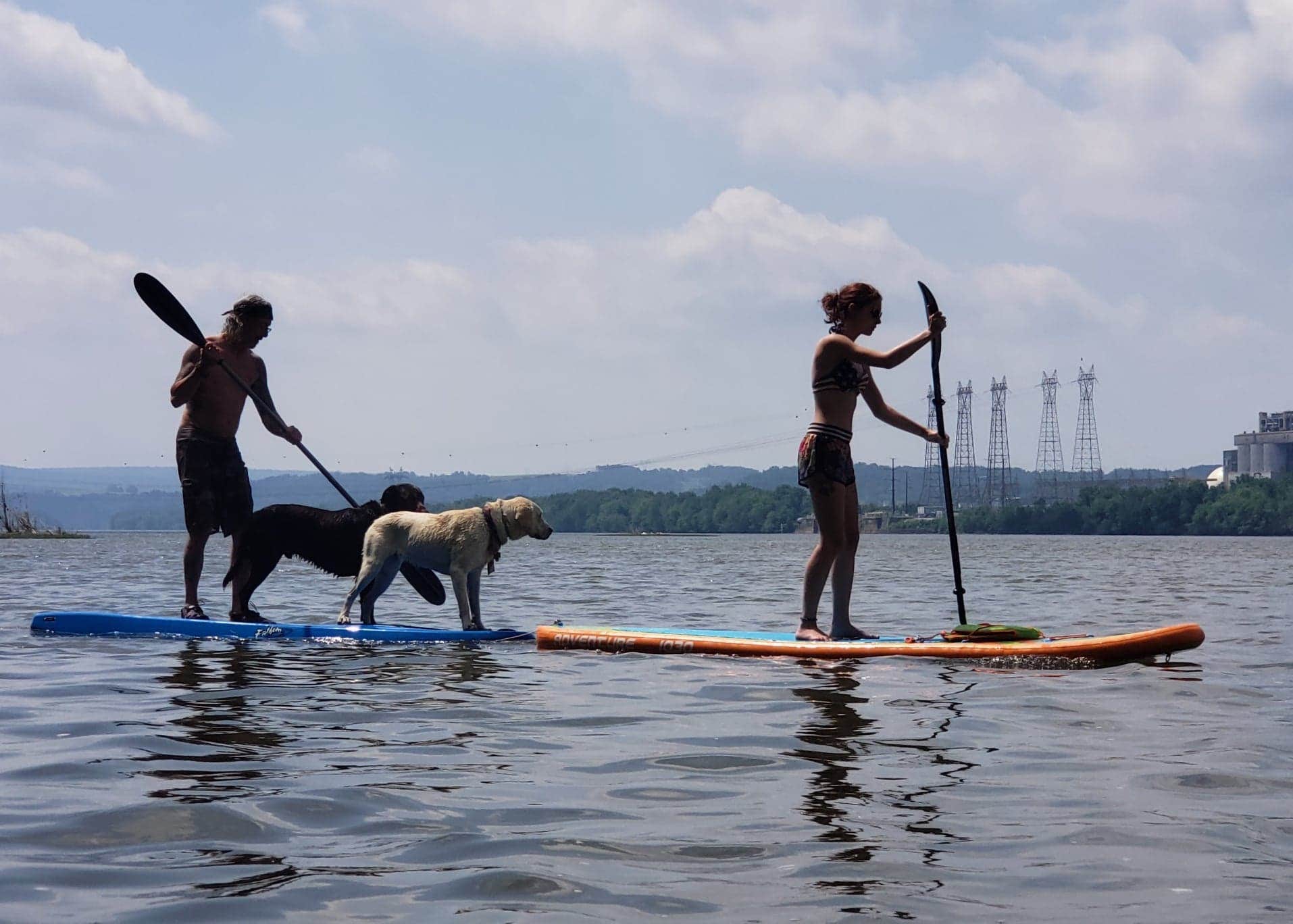 James B.'s photo of camping with pets at River Rock Recreation near Manheim, PA