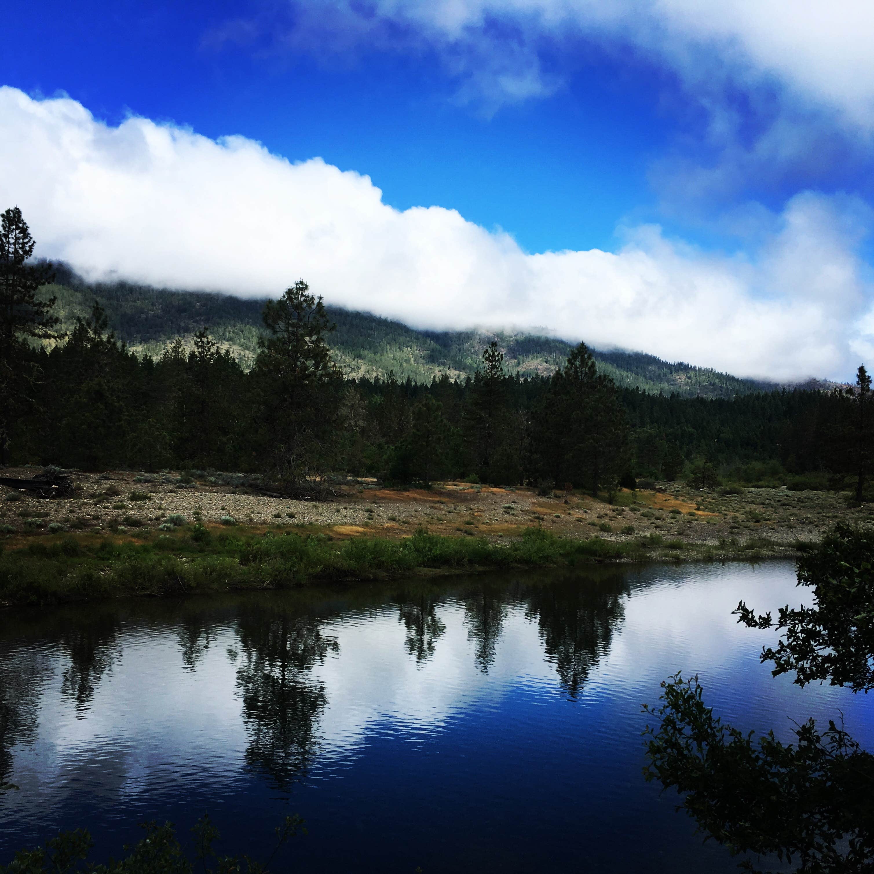 Camper-submitted photo at Laughing Alpaca Campground + RV Park near O'Brien, OR