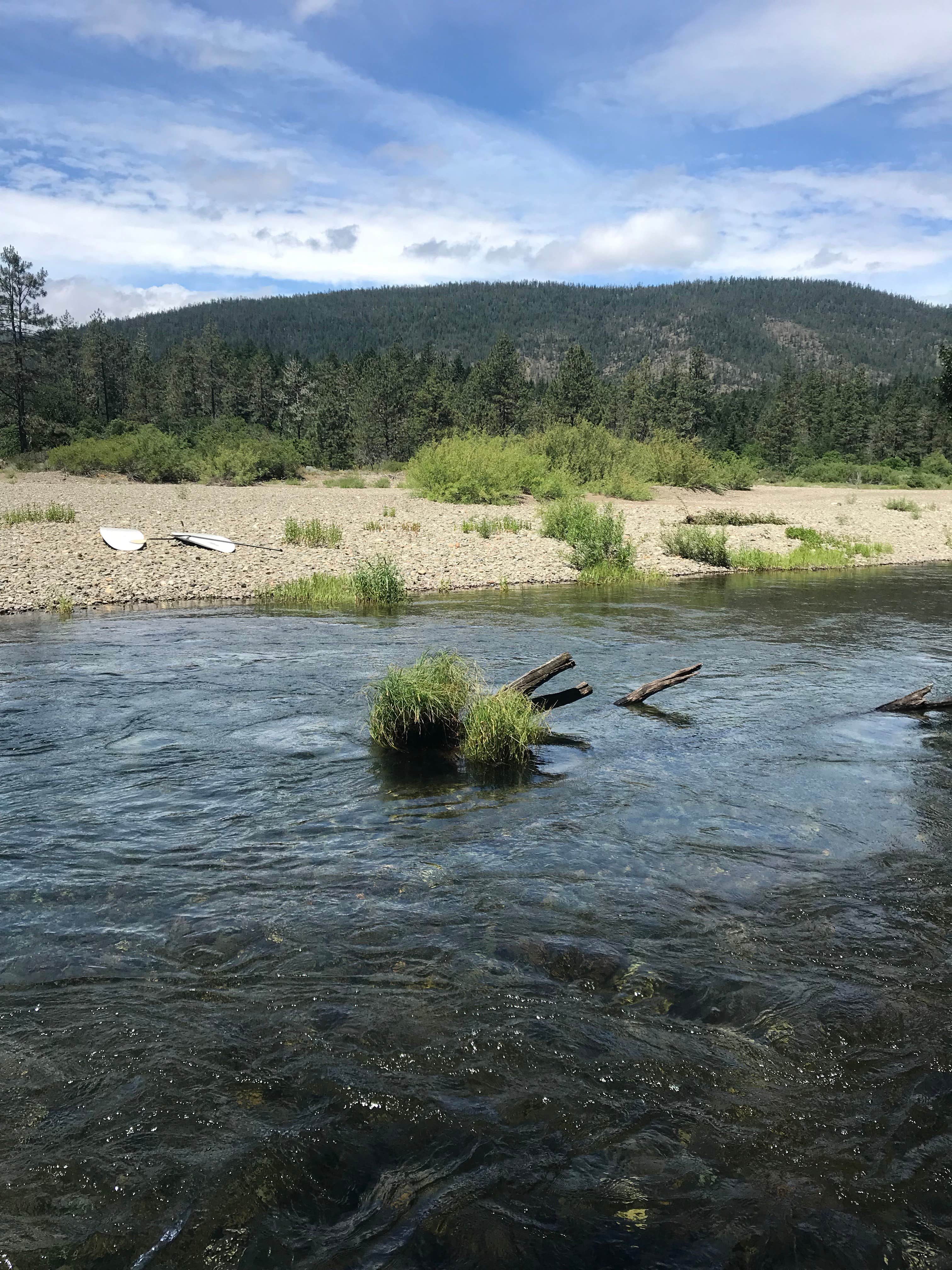 Camper-submitted photo at Laughing Alpaca Campground + RV Park near Grants Pass, OR