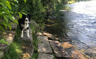 Jeff H.'s photo of camping with pets at Laughing Alpaca Campground + RV Park near Kerby, OR