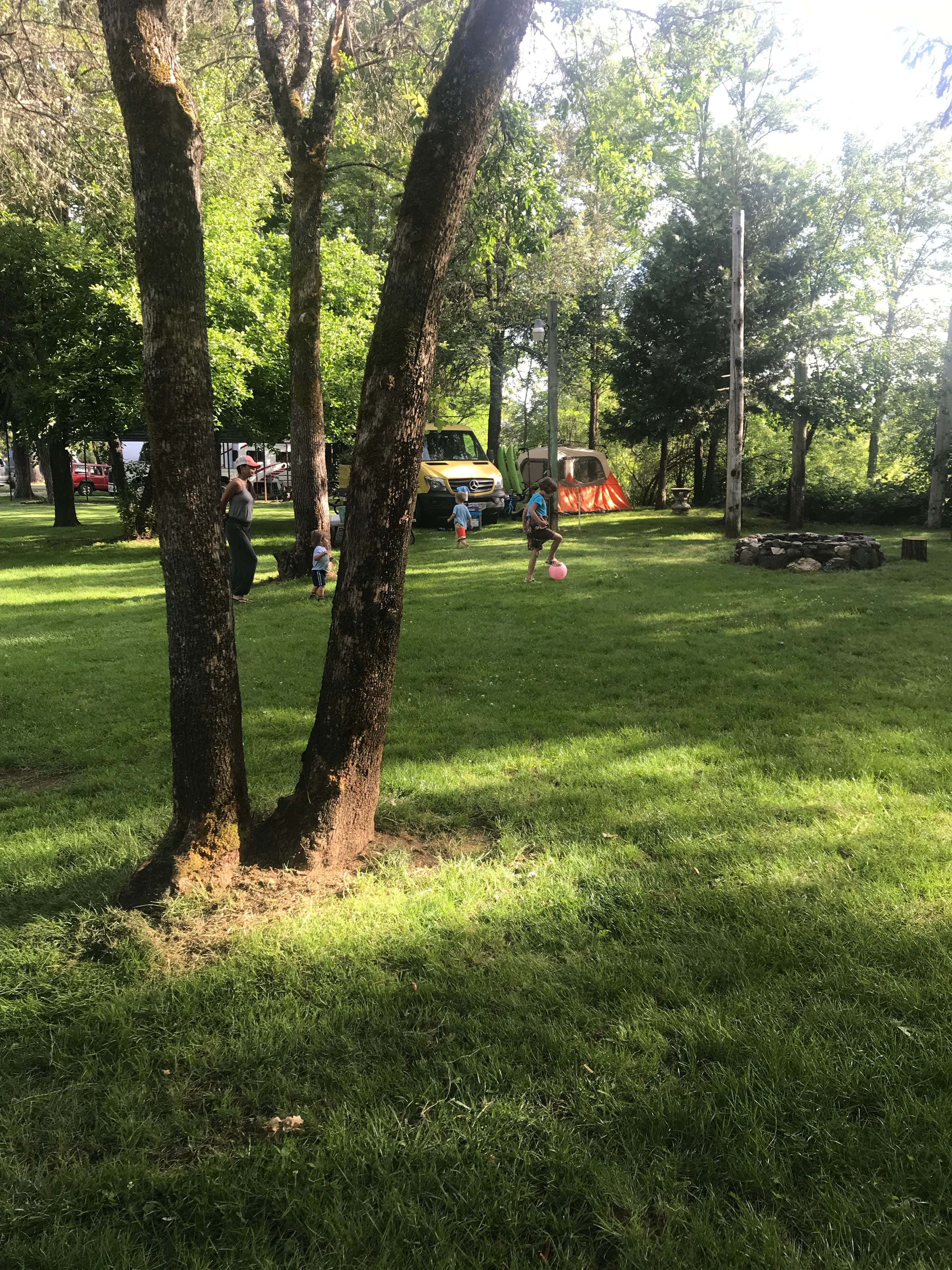 Camper-submitted photo at Laughing Alpaca Campground + RV Park near Grants Pass, OR