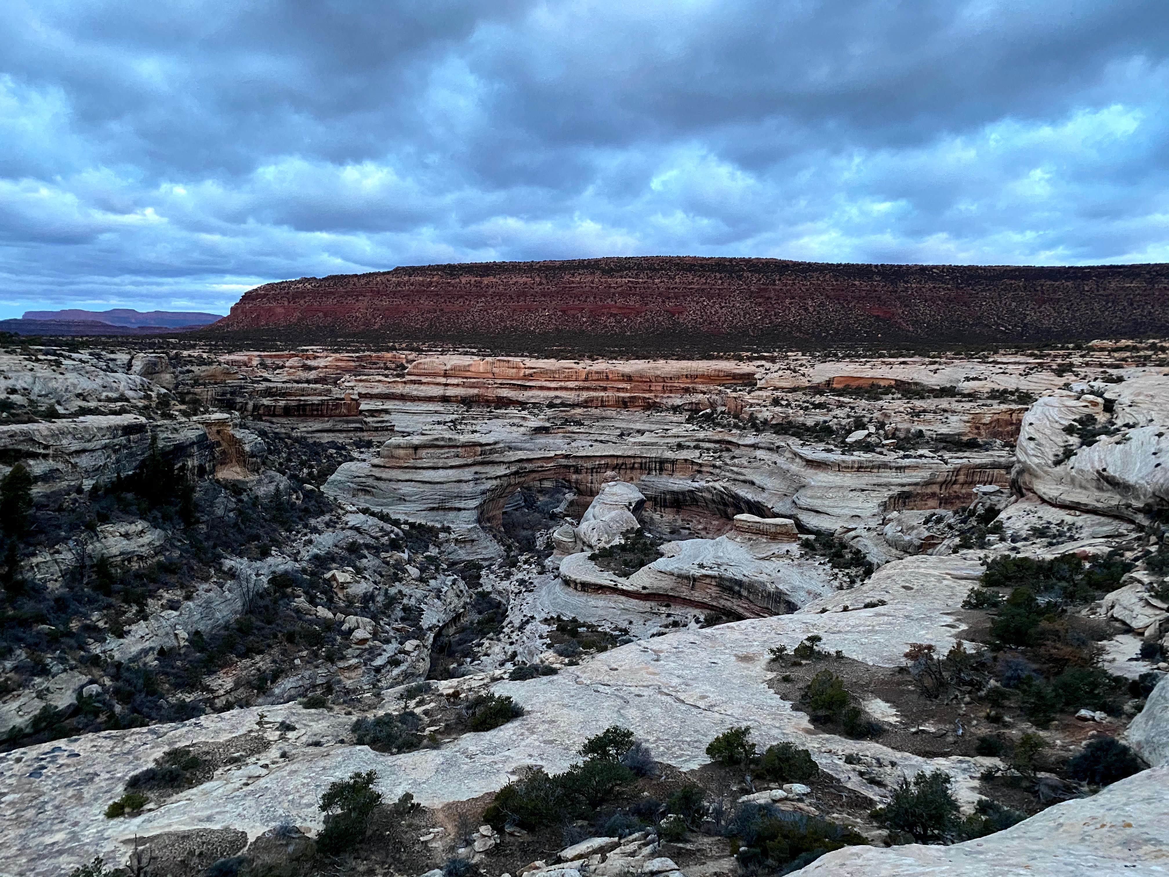 Camper submitted image from Natural Bridges Campground - 2