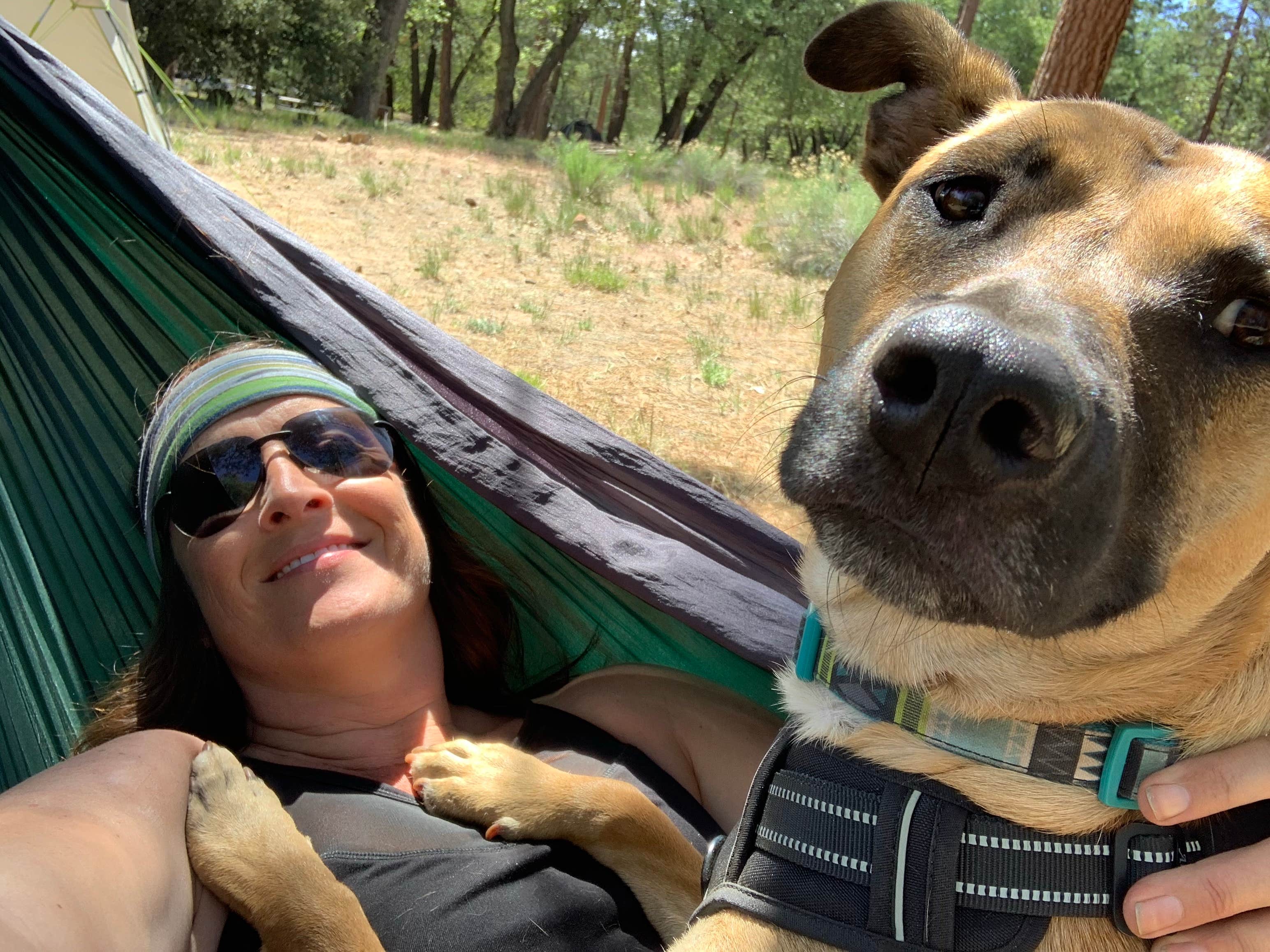 Kate W.'s photo of camping with pets at San Gorgonio Campground near Big Bear Lake, CA