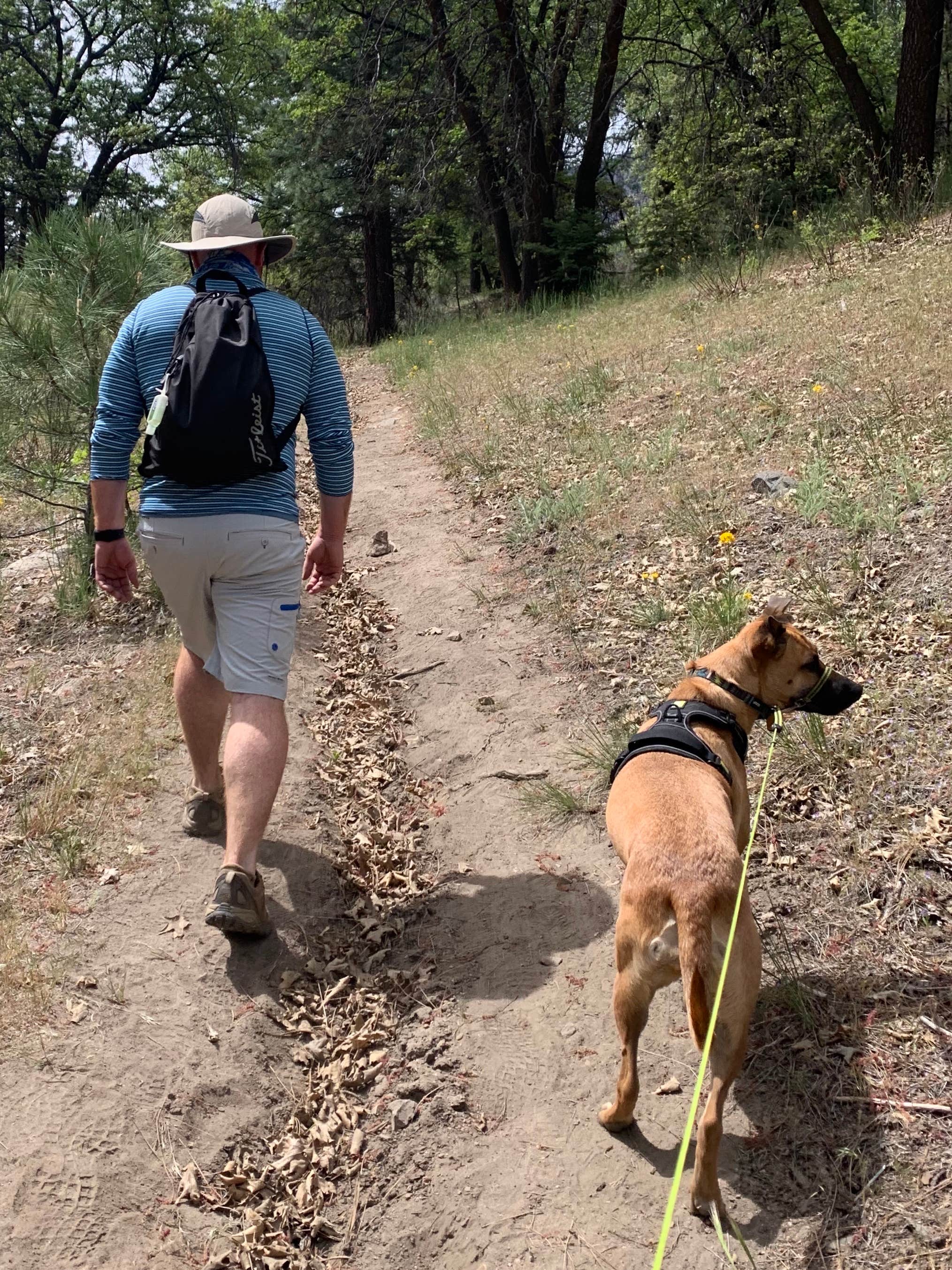 Kate W.'s photo of camping with pets at San Gorgonio Campground near Big Bear Lake, CA