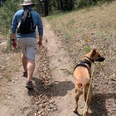 Review photo of San Gorgonio Campground by Kate W., June 12, 2020