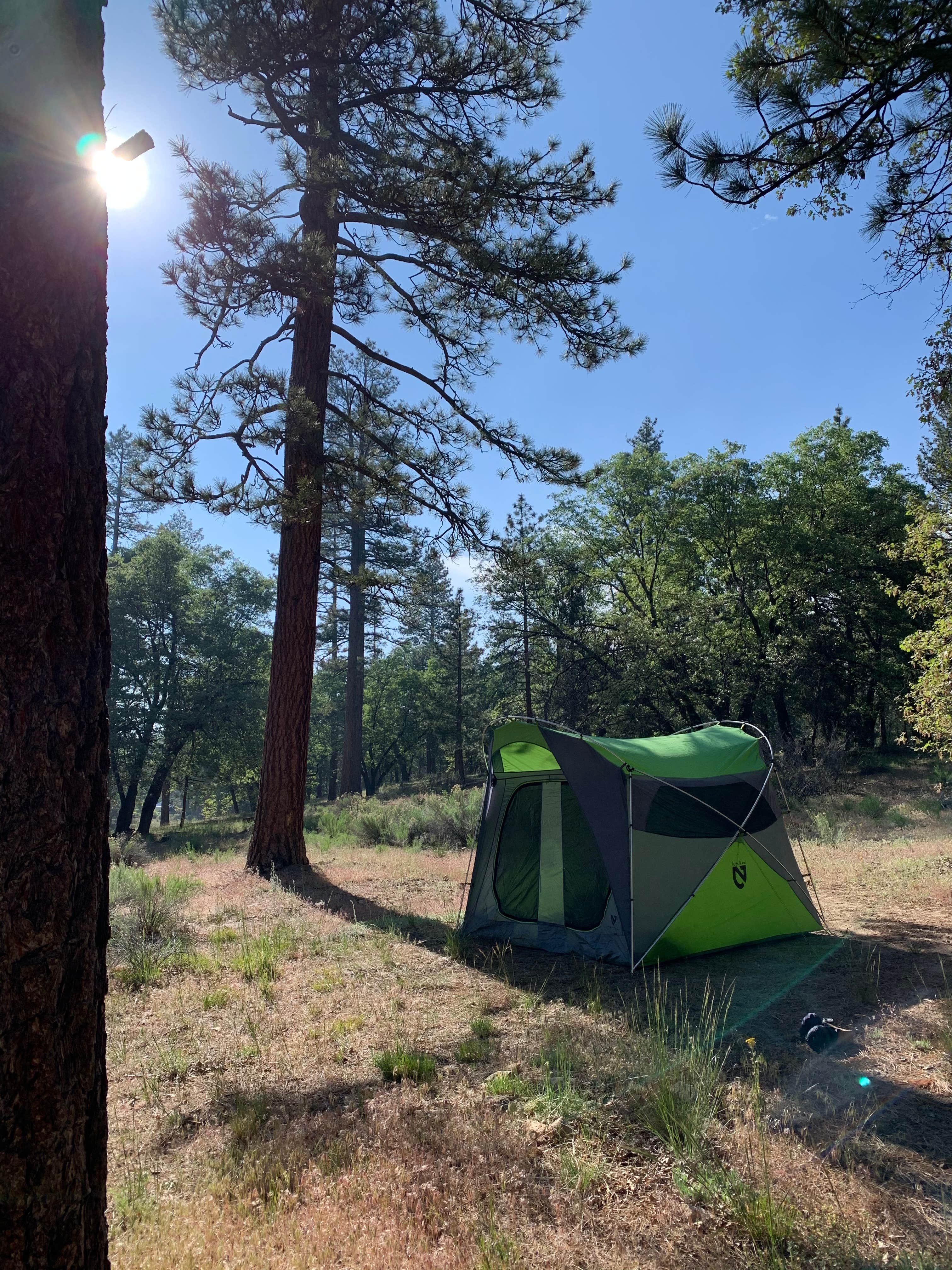 Kate W.'s photo at San Gorgonio Campground near Oak Glen, CA