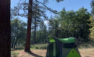 Kate W.'s photo at San Gorgonio Campground near San Bernardino National Forest