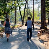 Review photo of San Gorgonio Campground by Kate W., June 12, 2020