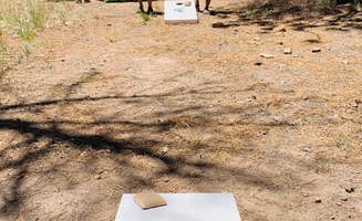 Kate W.'s photo at San Gorgonio Campground near Forest Falls, CA