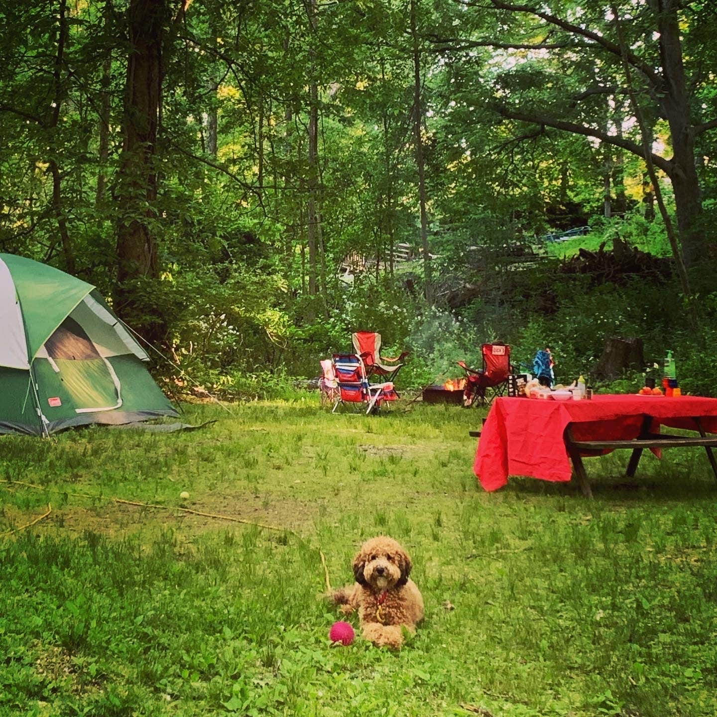Rob M.'s photo at Dingman's Family Campground near Glenmont, NY